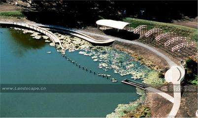 瑪麗密斯:世界女性景觀設計師--藝術行者